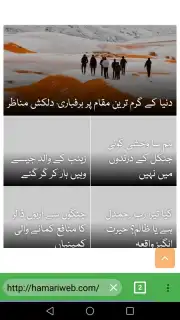 Pak Browser captura 1