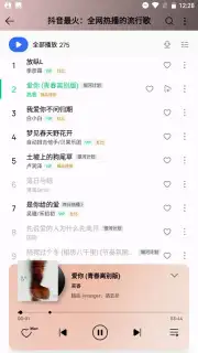 QQ Music captura 10