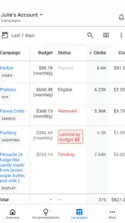 Google Ads captura 2