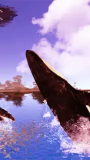 The Humpback Whales captura 5