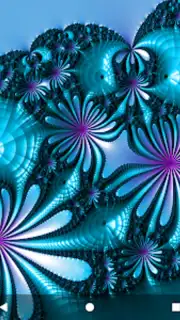 MandelBrowser captura 5