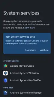 Google Mobile Services (GMS) captura 4