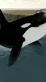 Orca Simulator captura 6