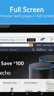 Browser 4G captura 5