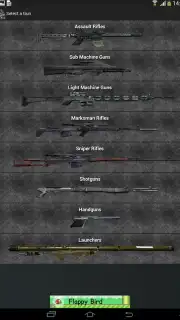 Gun Camera captura 13