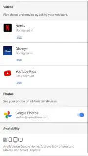 Google Home captura 14