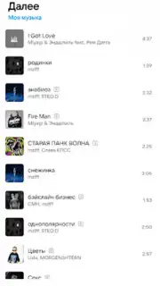 VK Music X captura 3