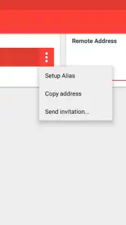 AnyDesk captura 1