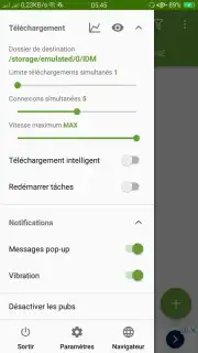 IDM (internet download menager) captura 7