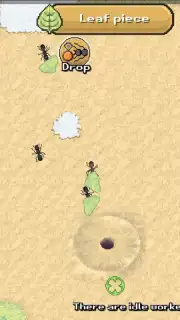 Pocket Ants captura 9