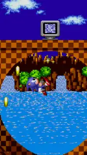 Sonic the Hedgehog Classic captura 6