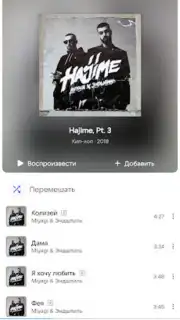 VK Music X captura 5