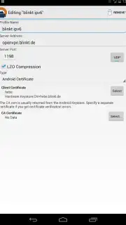 OpenVPN captura 11