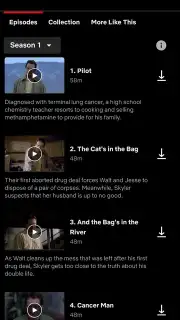 Netflix (Android TV) captura 16