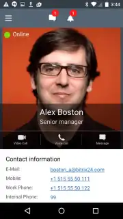 Bitrix24 captura 6
