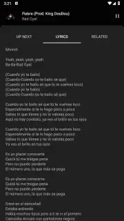 YouTube Music captura 2