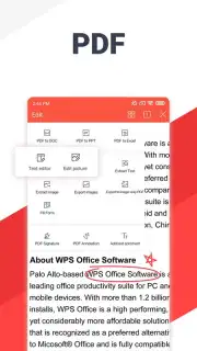 WPS Office captura 15