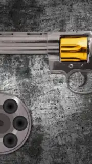 Best Russian Roulette captura 8