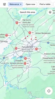 Google Maps captura 6
