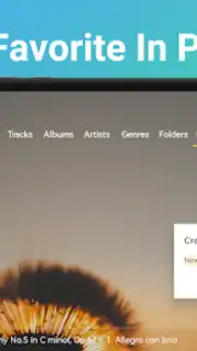 Music Player&Audio:Echo Player captura 1