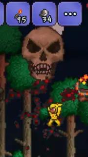 Terraria captura 6