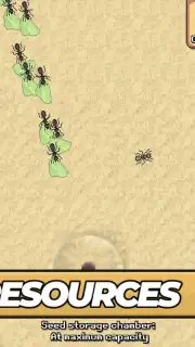 Pocket Ants captura 6