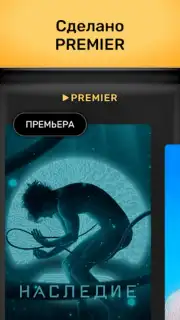PREMIER captura 13