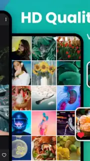 Gallery captura 9