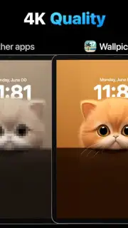 Wallpics captura 3