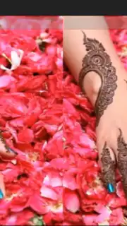 Mehndi Designs captura 1