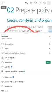 Adobe Acrobat Reader captura 2