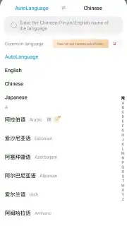 Baidu Translate captura 12