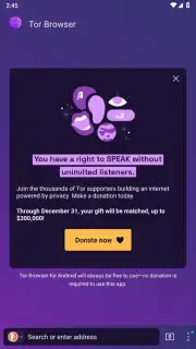 Tor Browser captura 25