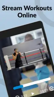 Ultimate MMA Fighting Program captura 1