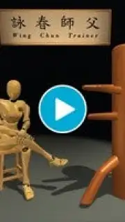 Wing Chun Trainer captura 1