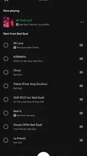 Spotify captura 15
