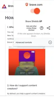 Brave Browser (Beta) captura 4