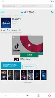 Opera Mini captura 4