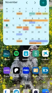 Google Calendar captura 8