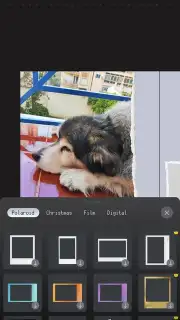 ProCCD captura 8