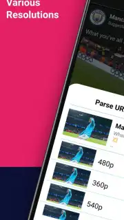 Video Downloader captura 3