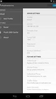 Shadowsocks captura 11