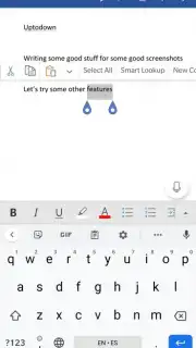 Microsoft Word captura 7