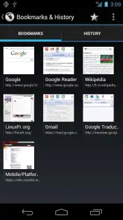 Tint Browser captura 3