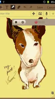 S Memo captura 2
