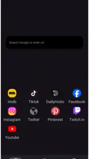 VidMad Video Downloader captura 1