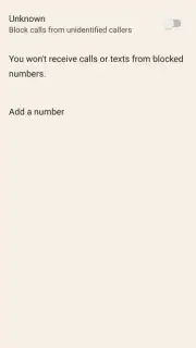 Phone by Google captura 12