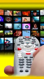 Universal Remote Control TV Pro captura 2