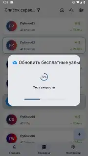 ZipVPN captura 5