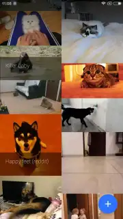 GfyCat captura 7